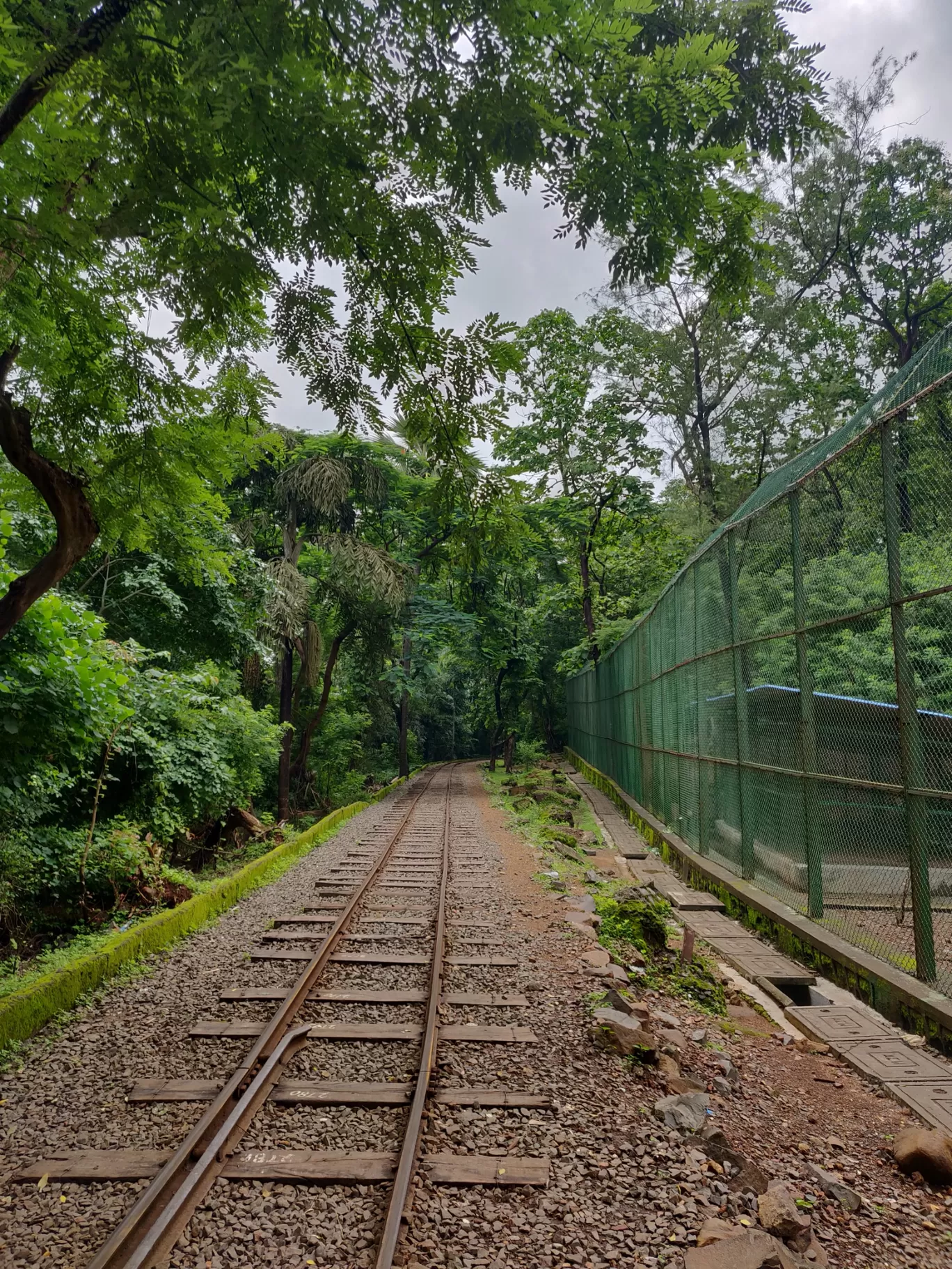 Photo of Sanjay Gandhi National Park By priyanka majumdar