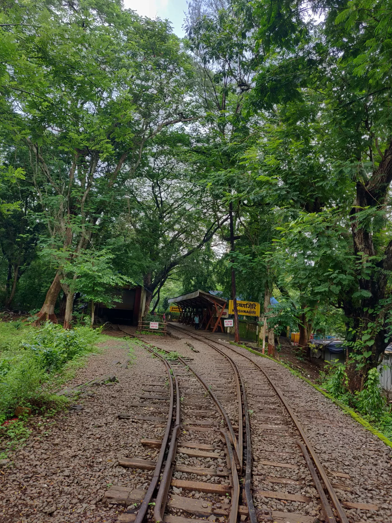 Photo of Sanjay Gandhi National Park By priyanka majumdar