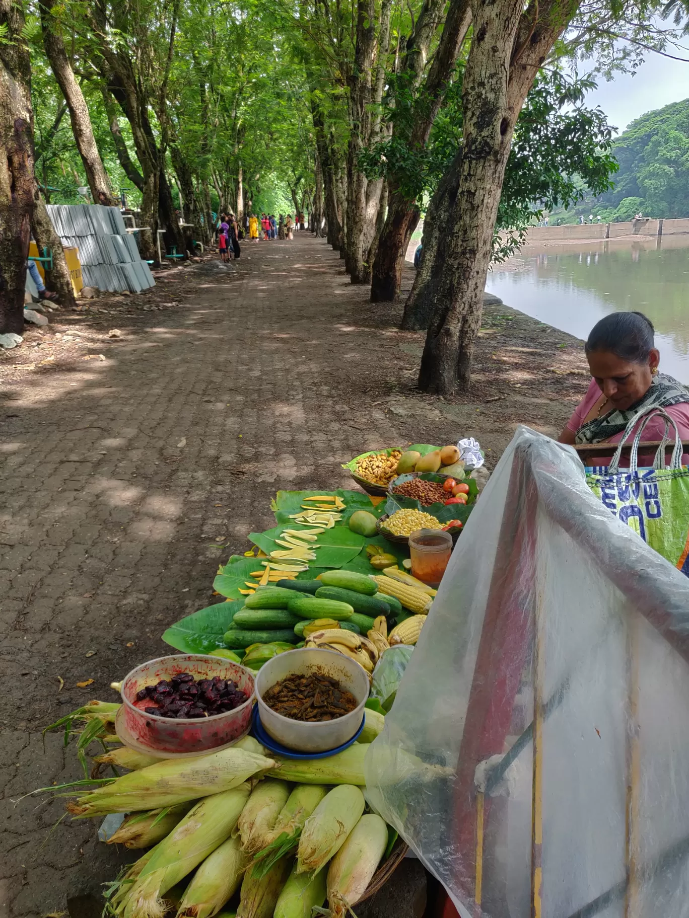 Photo of Sanjay Gandhi National Park By priyanka majumdar