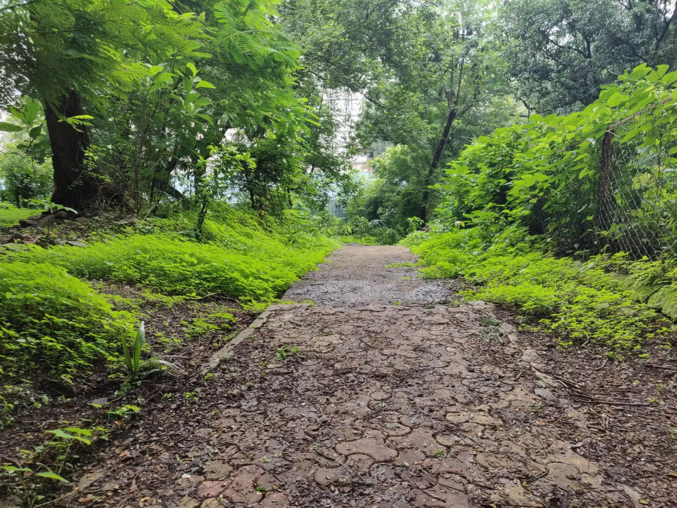 Photo of Sanjay Gandhi National Park By priyanka majumdar