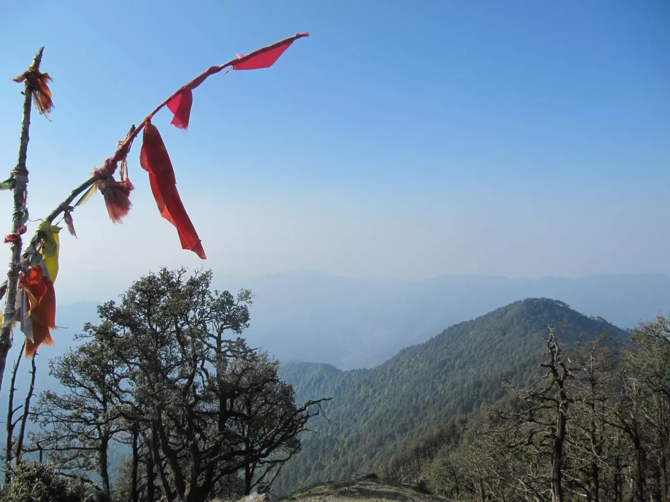 Photo of Nag Tibba By Ananya Aggarwal
