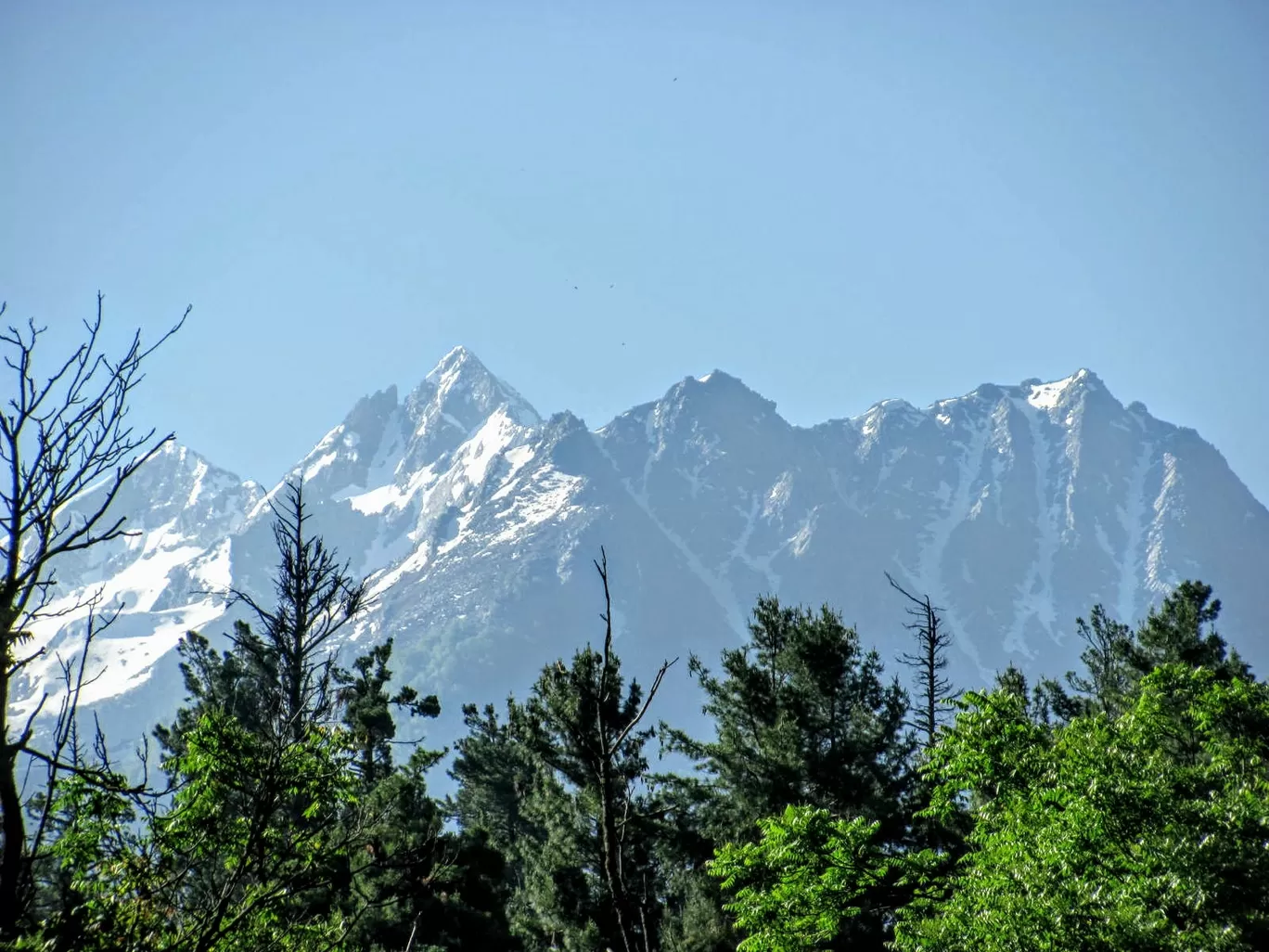 Photo of Pahalgam Tourism By aman gupta