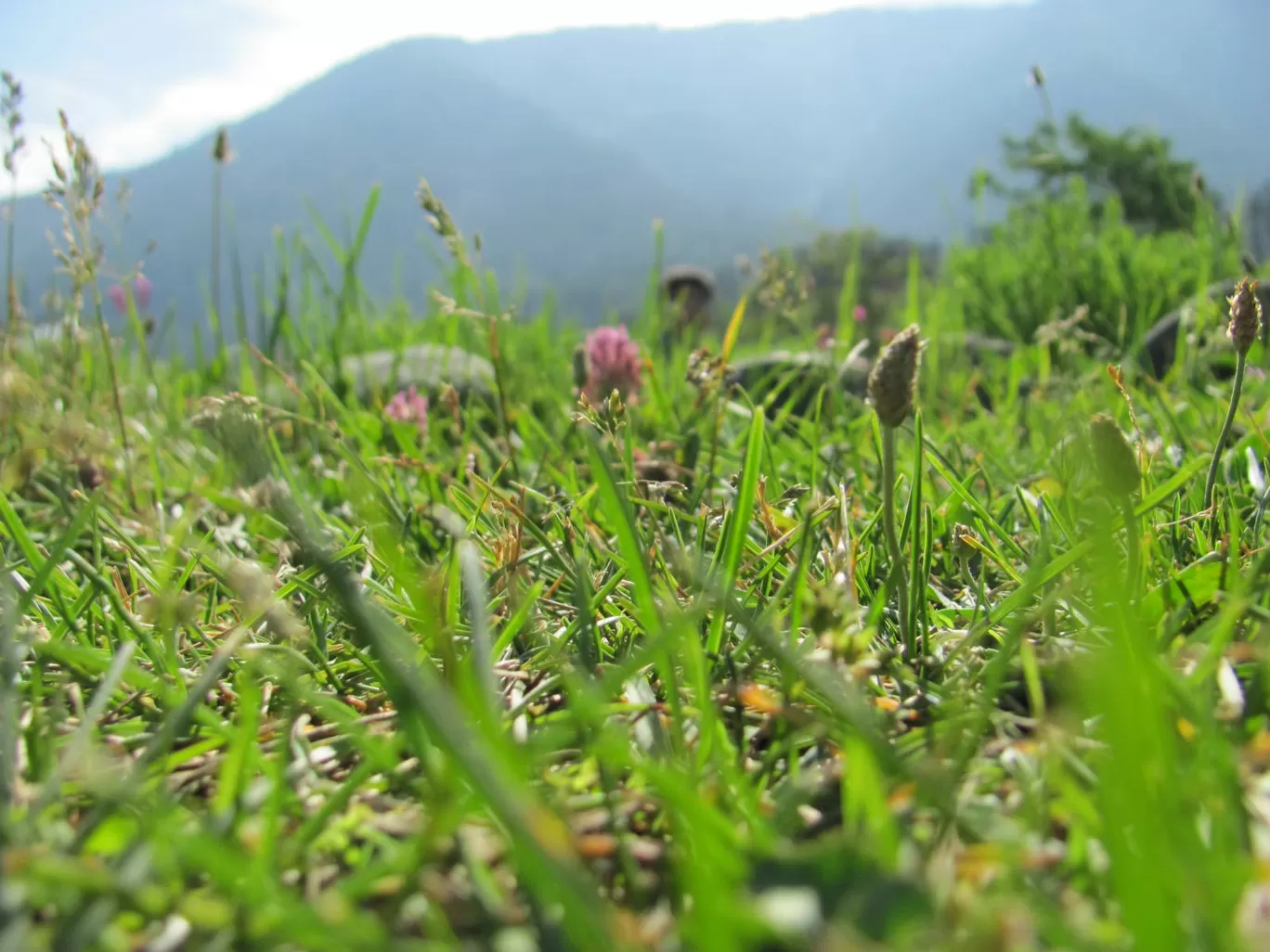 Photo of Pahalgam Tourism By aman gupta