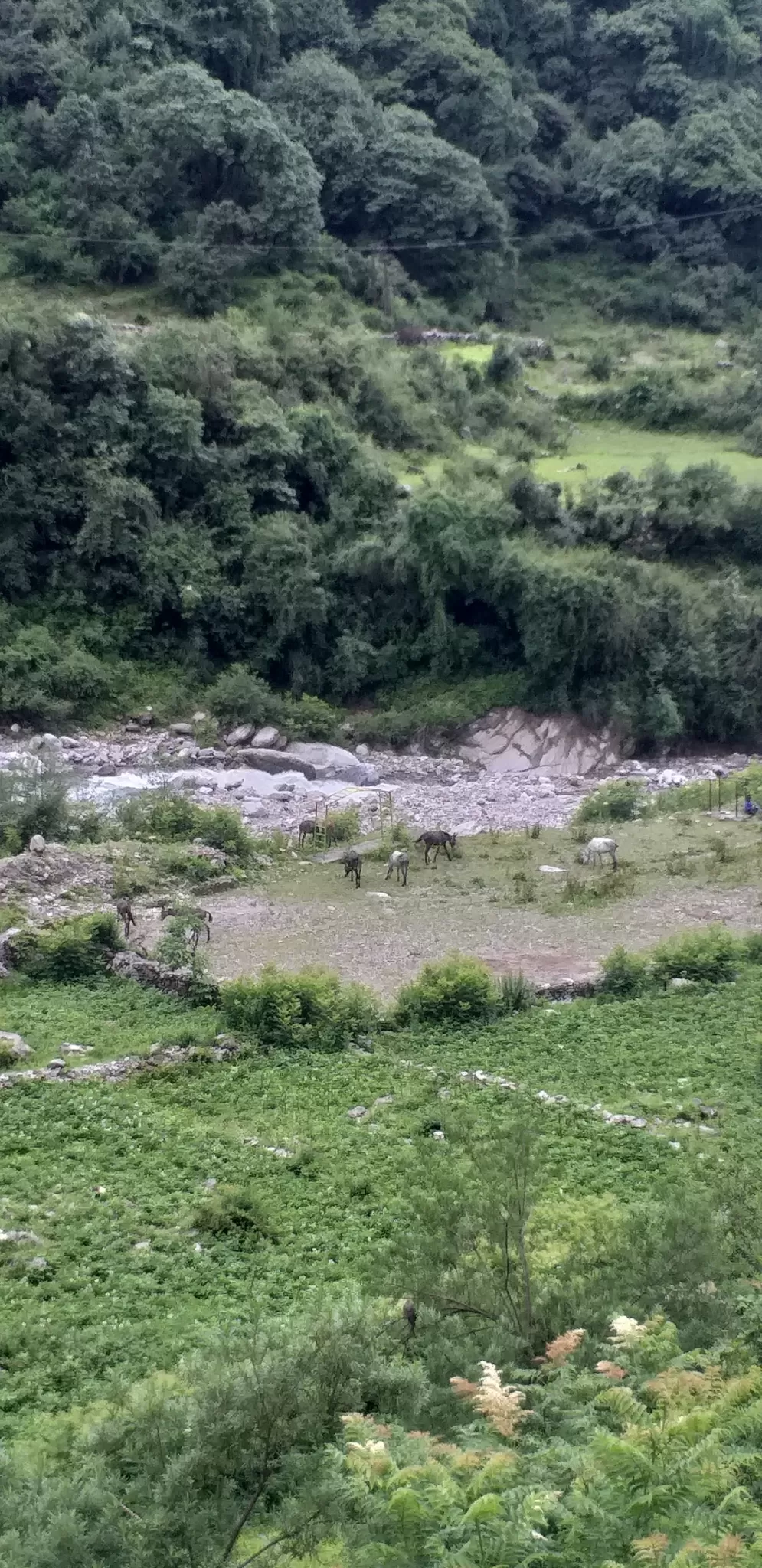Photo of Yamnotri By Rayansh Singh Raghuvanshi