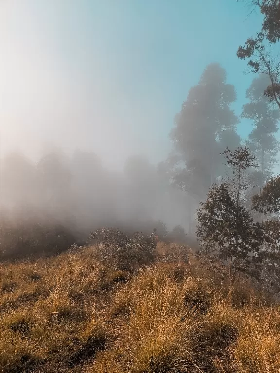 Photo of Vattavada By Fahim Maharoof