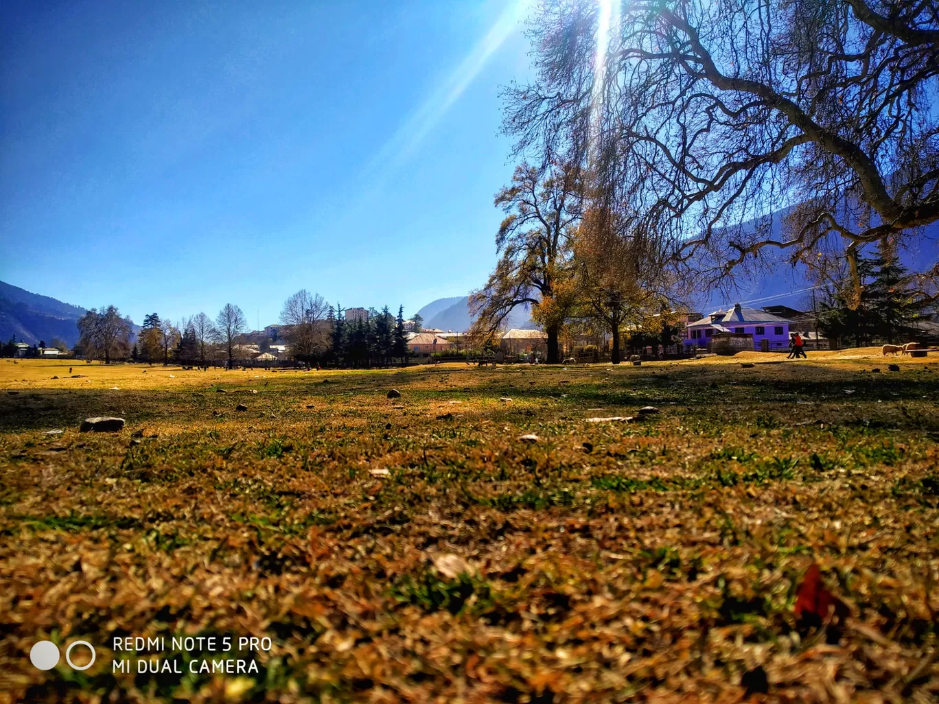 Photo of Kishtwar National Park By Sheetal Sharma