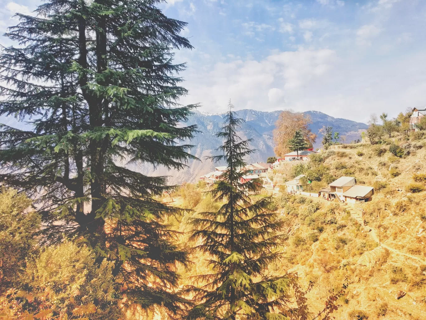 Photo of Kishtwar National Park By Sheetal Sharma