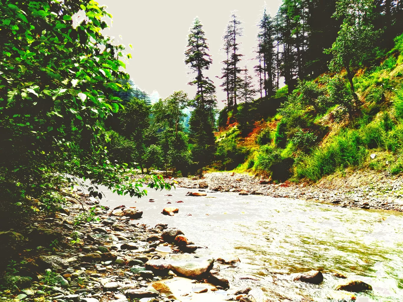 Photo of Kishtwar National Park By Sheetal Sharma
