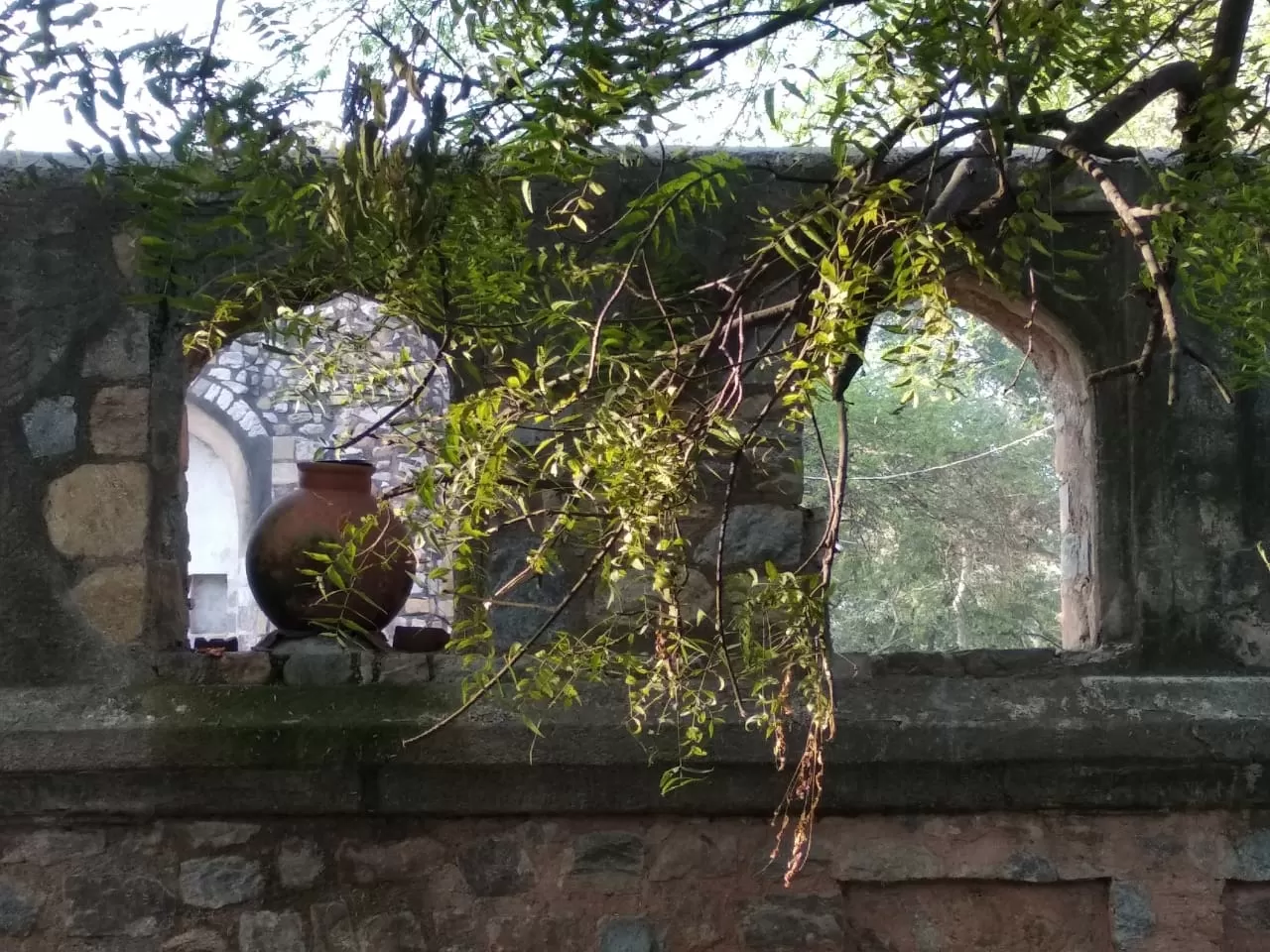 Photo of Mehrauli Archaeological Park By Devashish Mohan