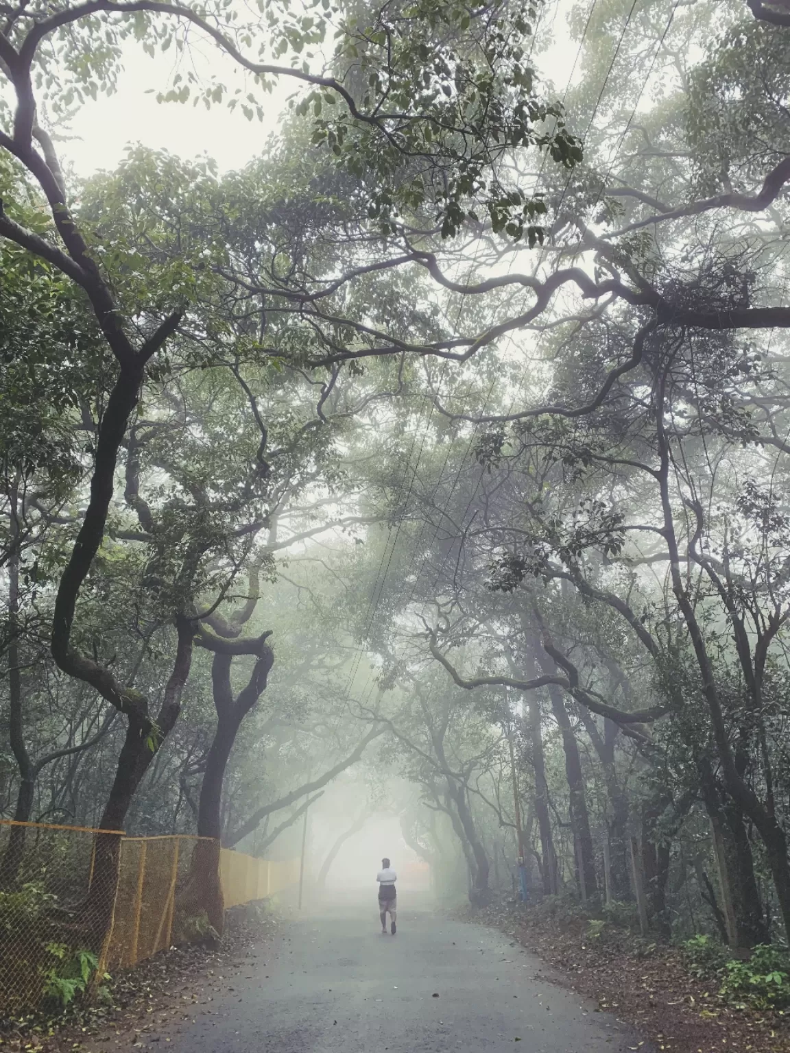 Photo of Mahabaleshwar By Humans and their emotions