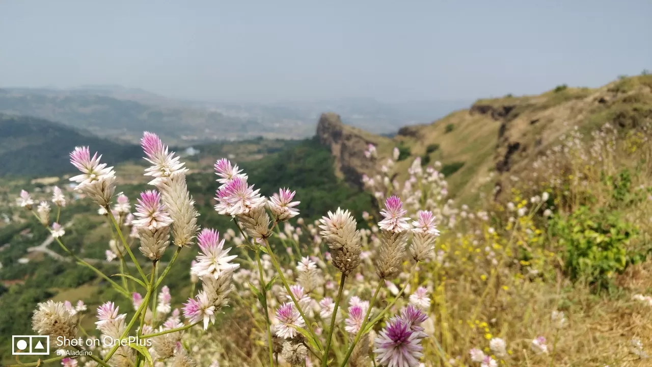 Photo of Lohagad Fort By Ritika sharma