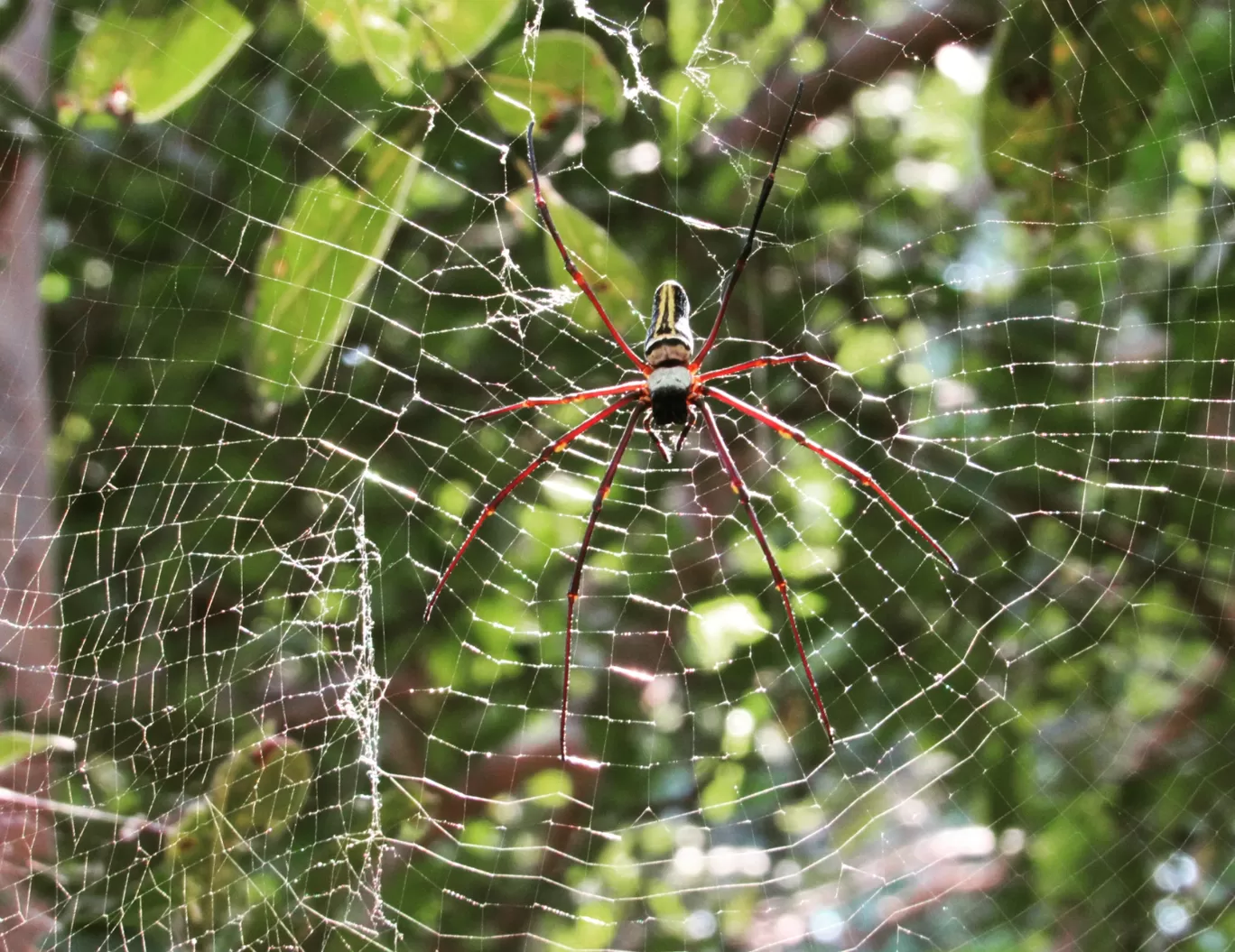 Photo of Panna By Anubha jain