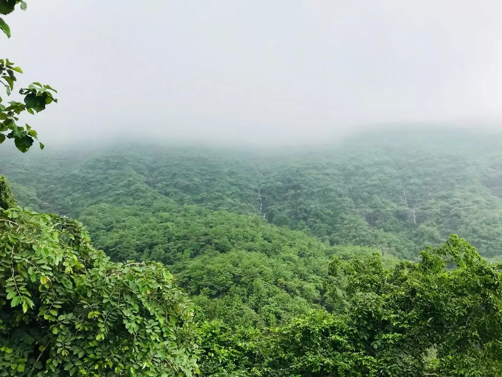 Photo of Pavagadh Hills By Nirmal Gandhi