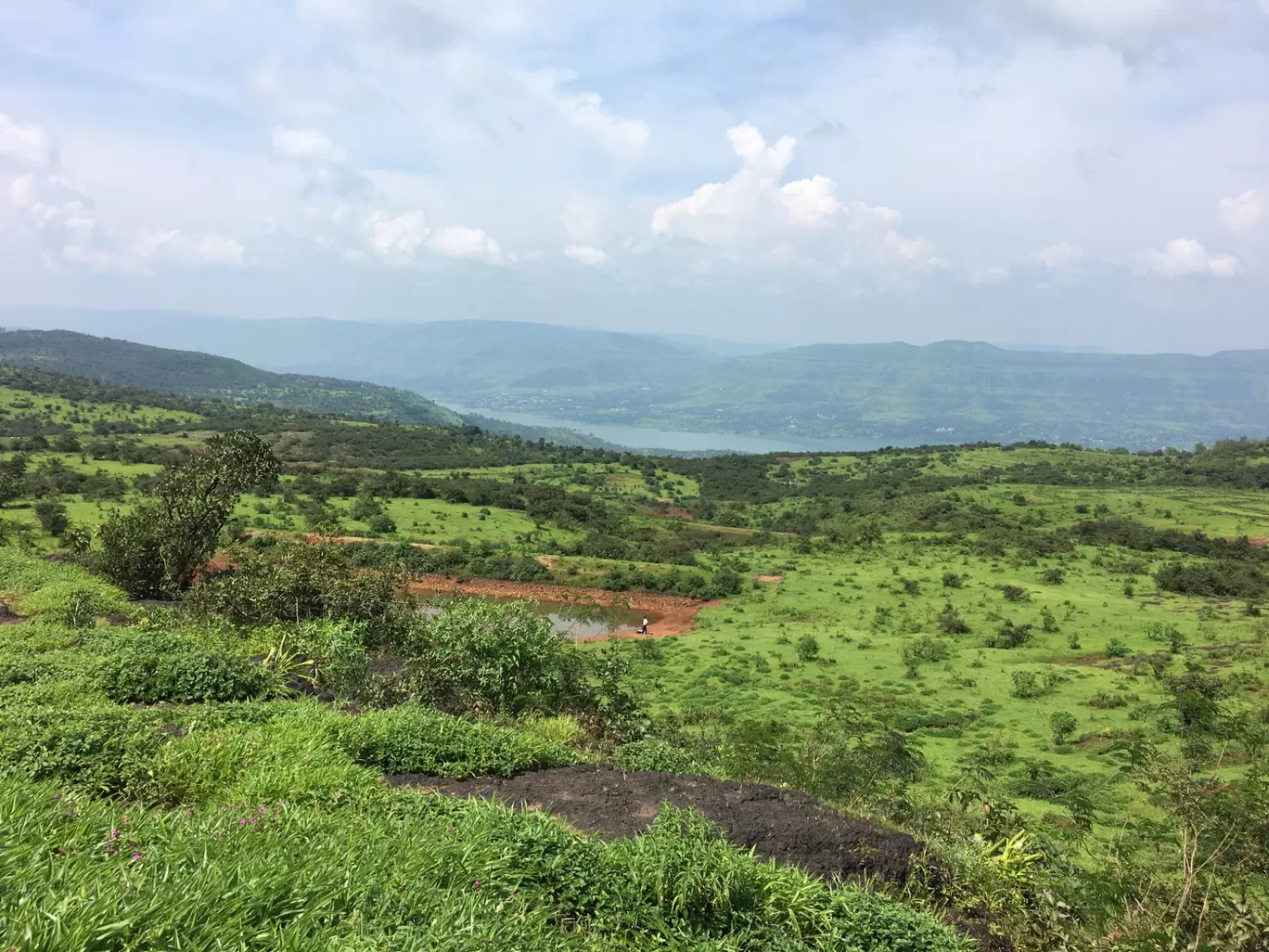 Photo of Kaas Plateau of Flowers By Shiva Prasad