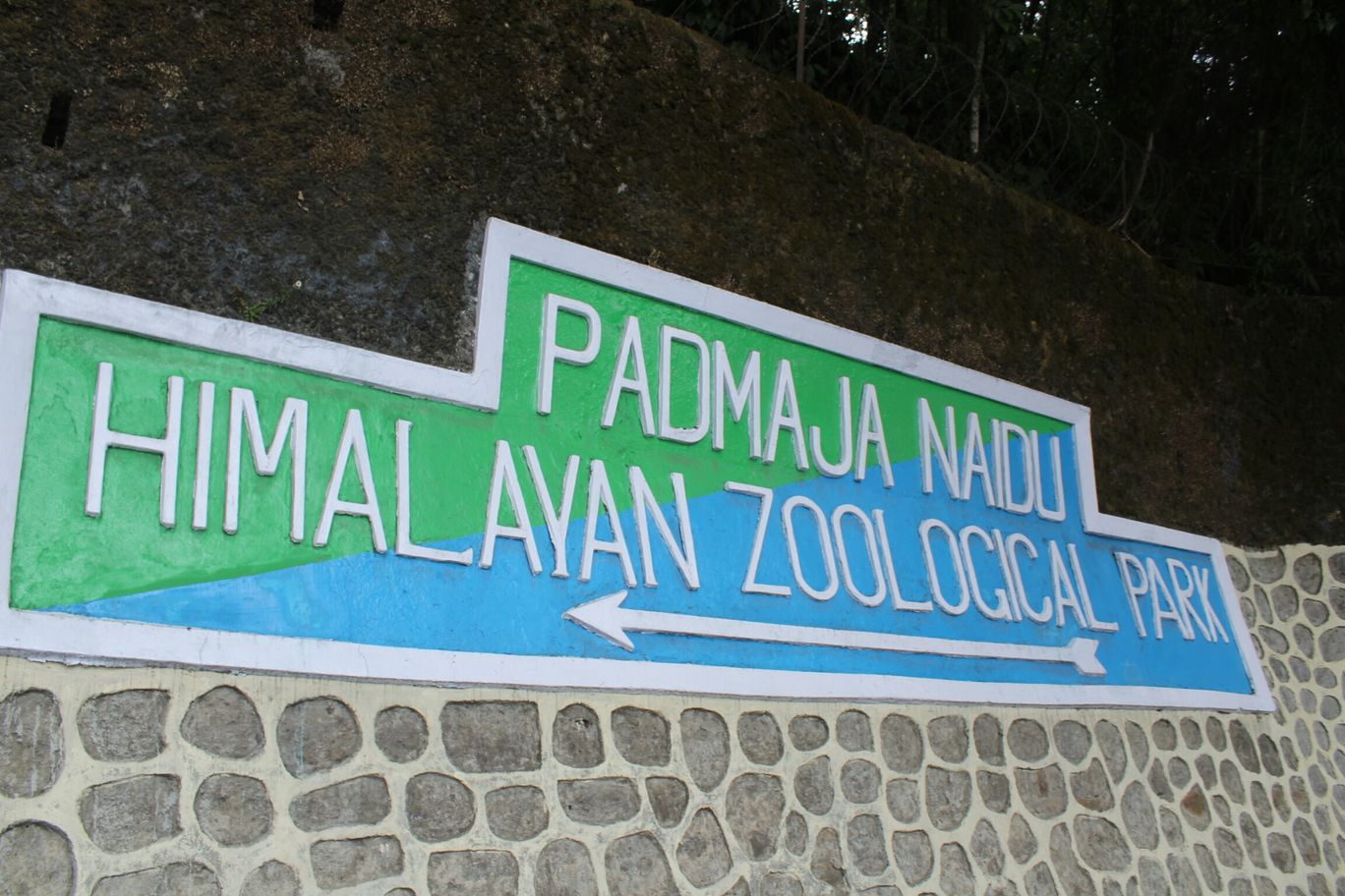 Padmaja Naidu Himalayan Zoological Park, Darjeeling, India: View Images,  Timing and Reviews | Tripoto