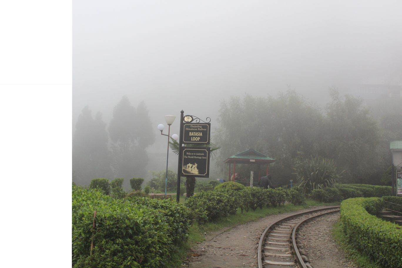 Photo of Places to visit in India-Darjeeling-Batasia loop,Ghum-SteamEngine Rail,Peace Pagoda & Gangamaya Park By aashish