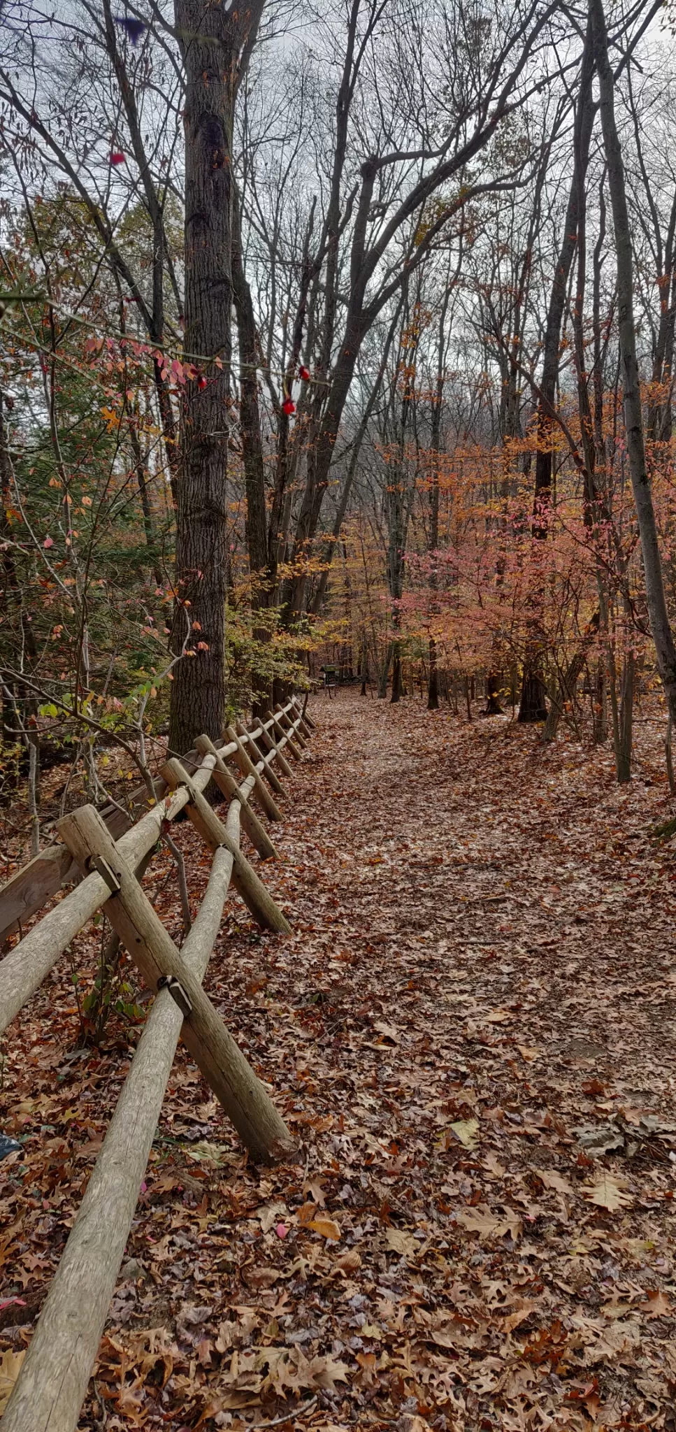 Photo of Mianus River Trail By Riya Tayal