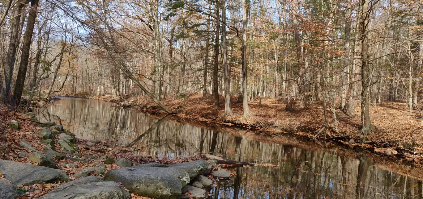 Photo of Mianus River Trail By Riya Tayal