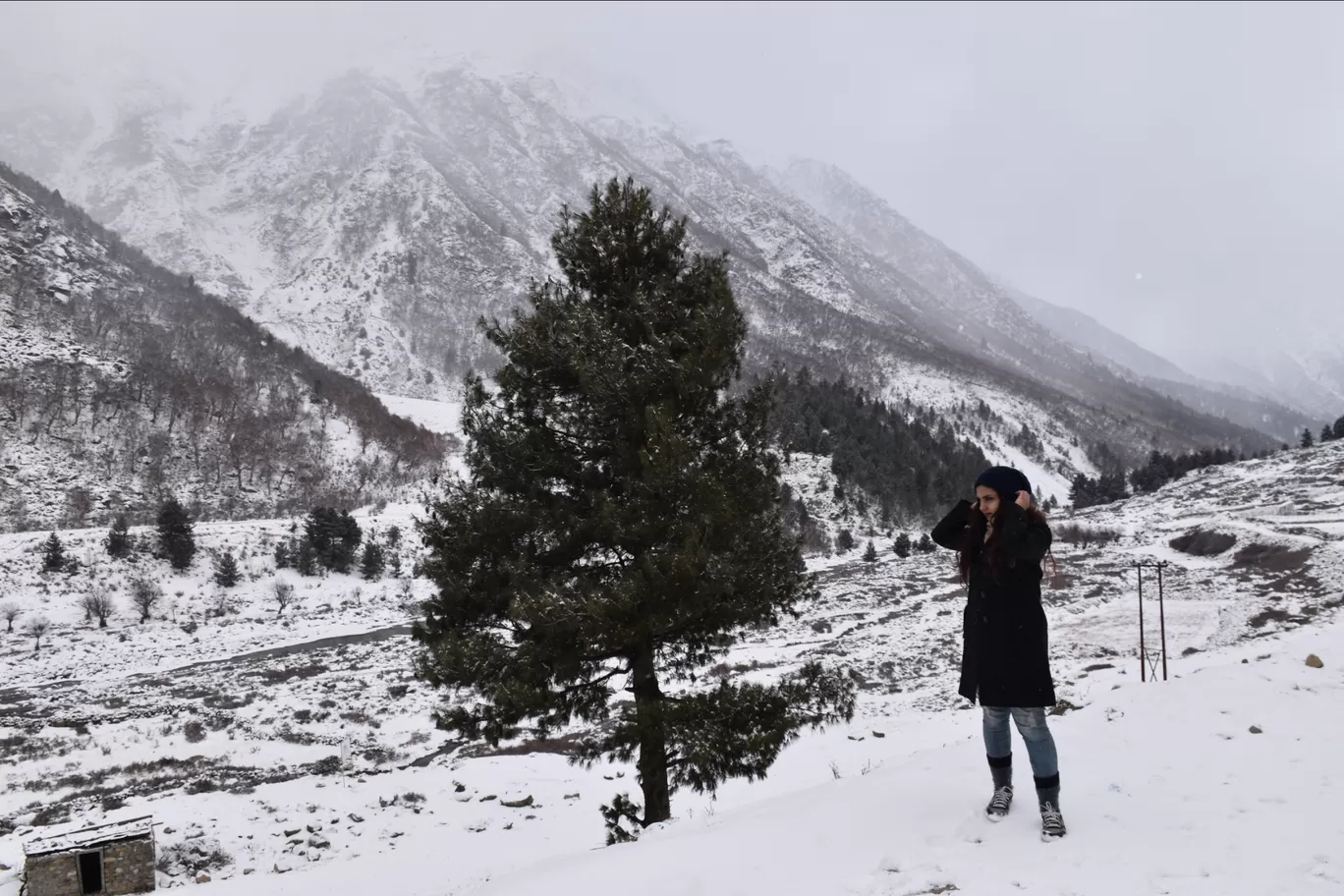 Photo of Chitkul By Shreya Sharma