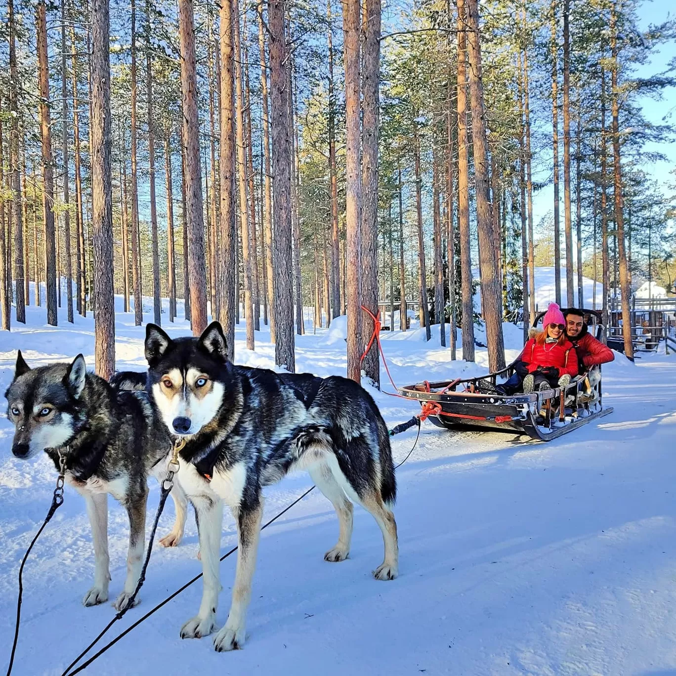 Photo of Rovaniemi By Siddharth Ojah