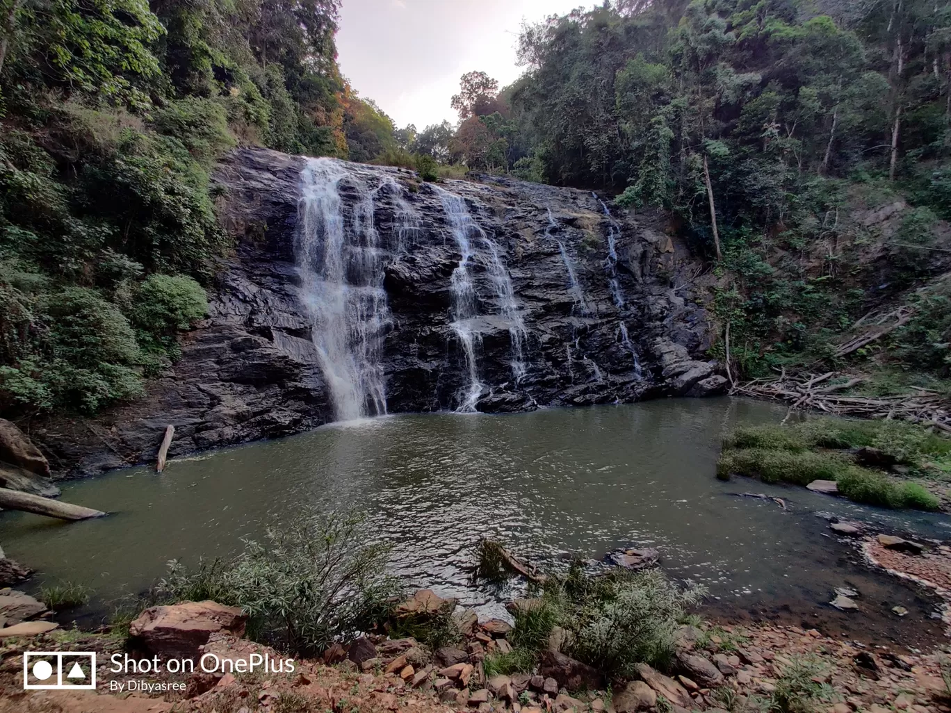 Photo of Coorg By Dibyasree Pal