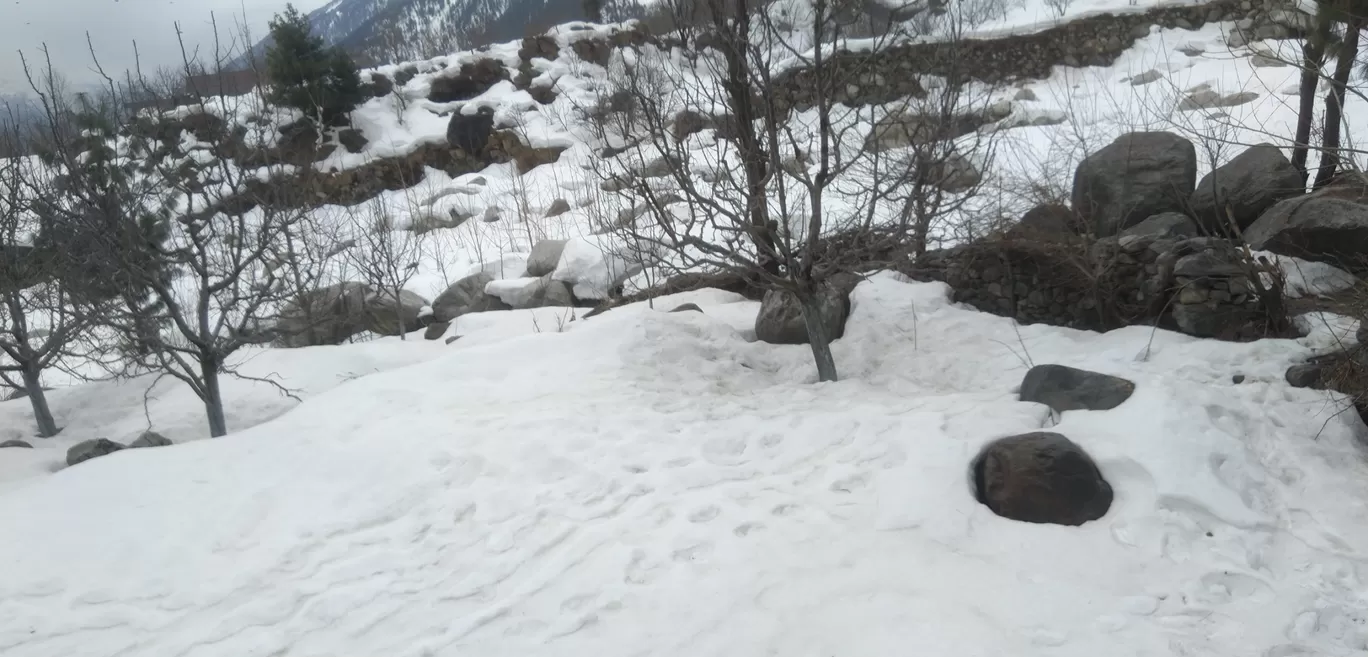 Photo of Manali By Rahul Navriya