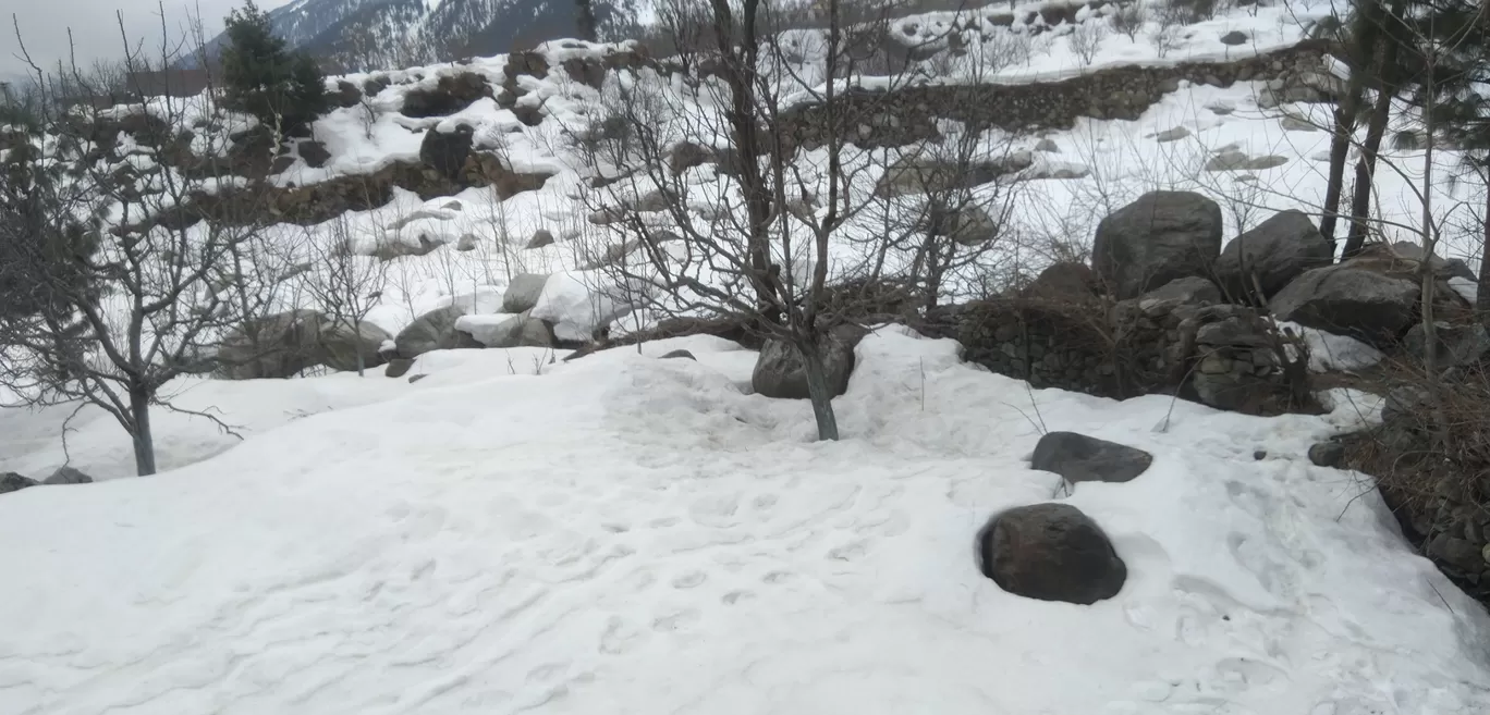 Photo of Manali By Rahul Navriya