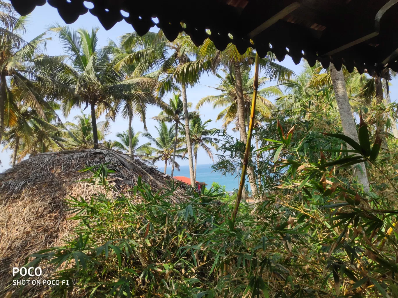 Photo of Varkala cliff By Shashidhar Reddy
