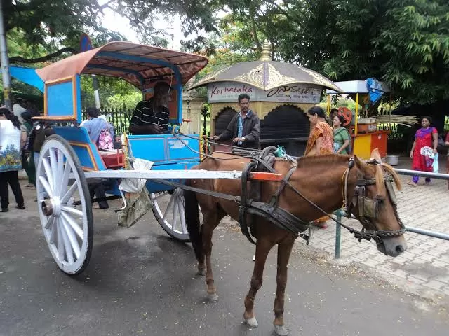 Photo of Mysore By Shashidhar Reddy