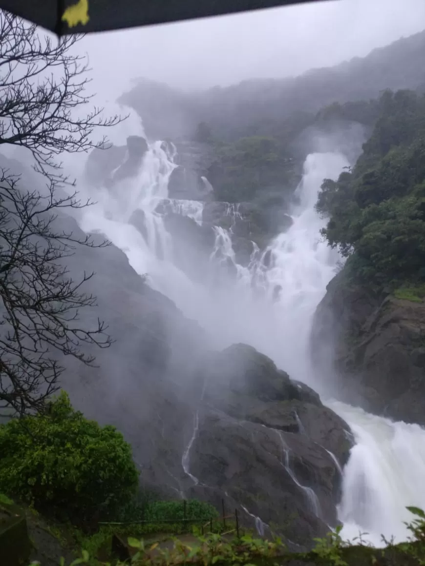 Photo of Dudhsagar Falls By Prafulla Padvi