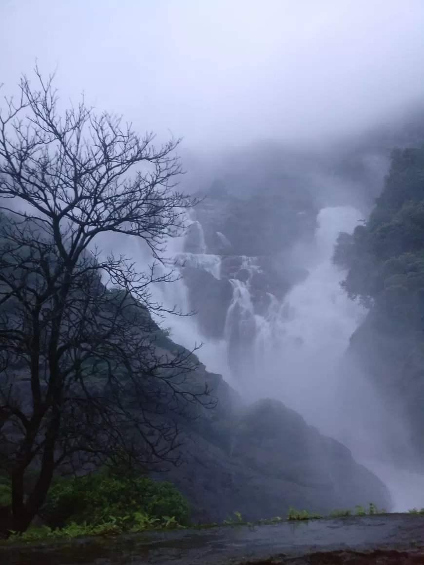 Photo of Dudhsagar Falls By Prafulla Padvi
