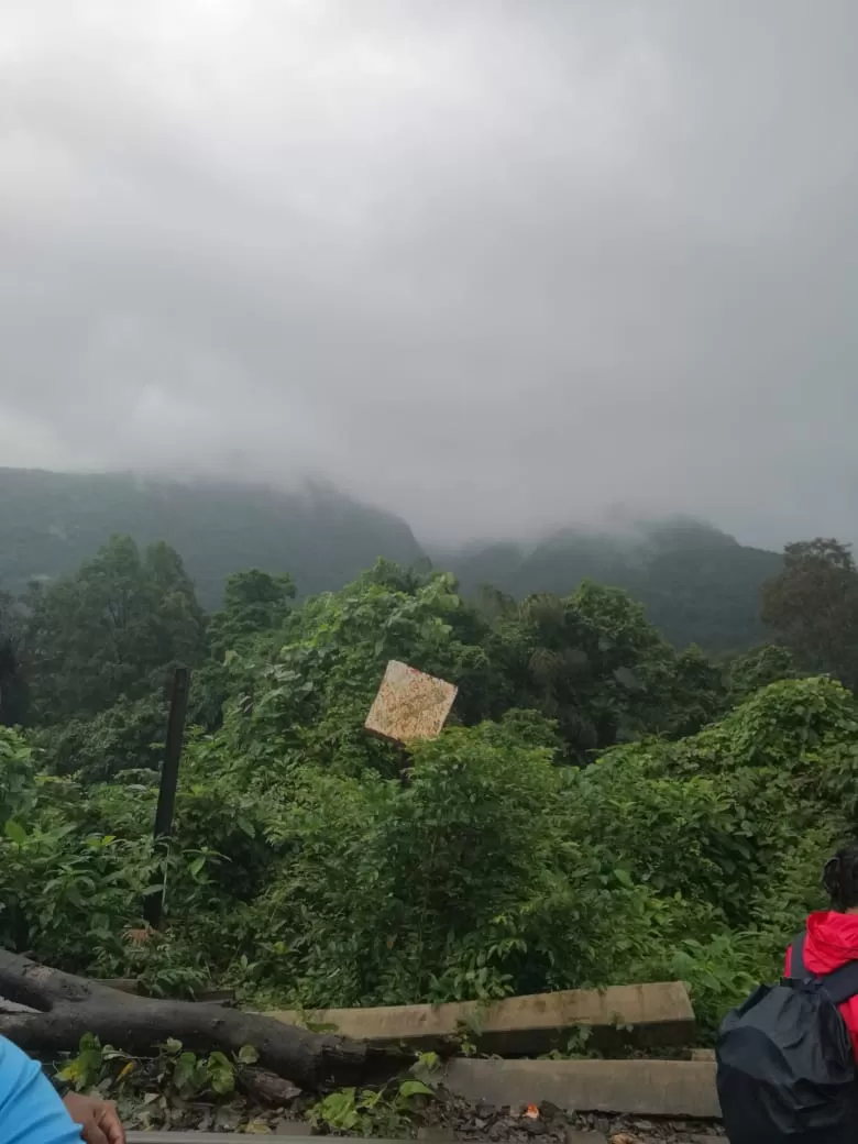 Photo of Dudhsagar Falls By Prafulla Padvi