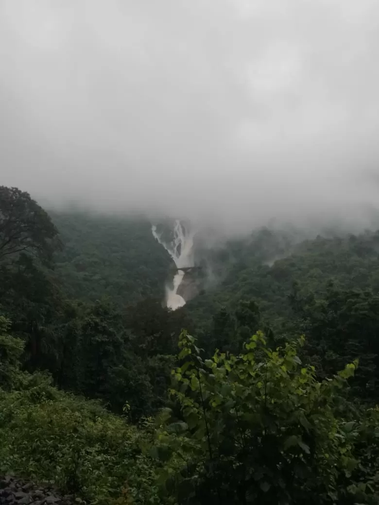 Photo of Dudhsagar Falls By Prafulla Padvi