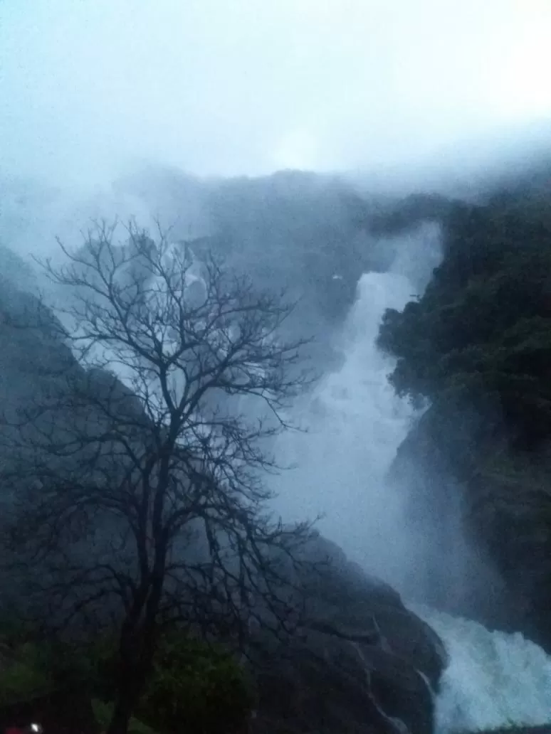 Photo of Dudhsagar Falls By Prafulla Padvi