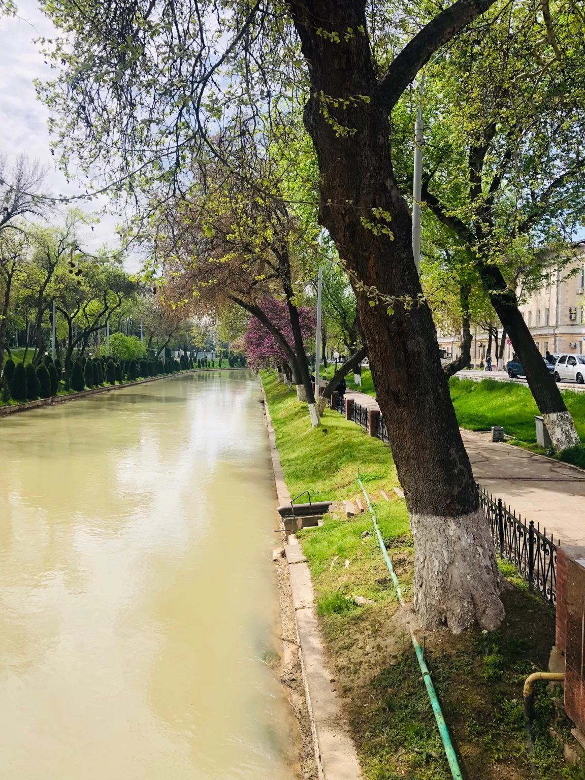 Photo of Tashkent By Sanjukta Chakraborty