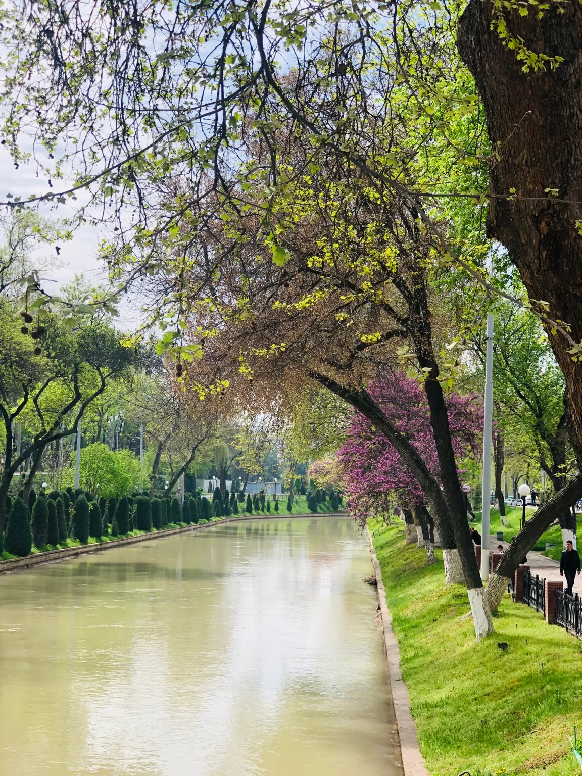 Photo of Tashkent By Sanjukta Chakraborty