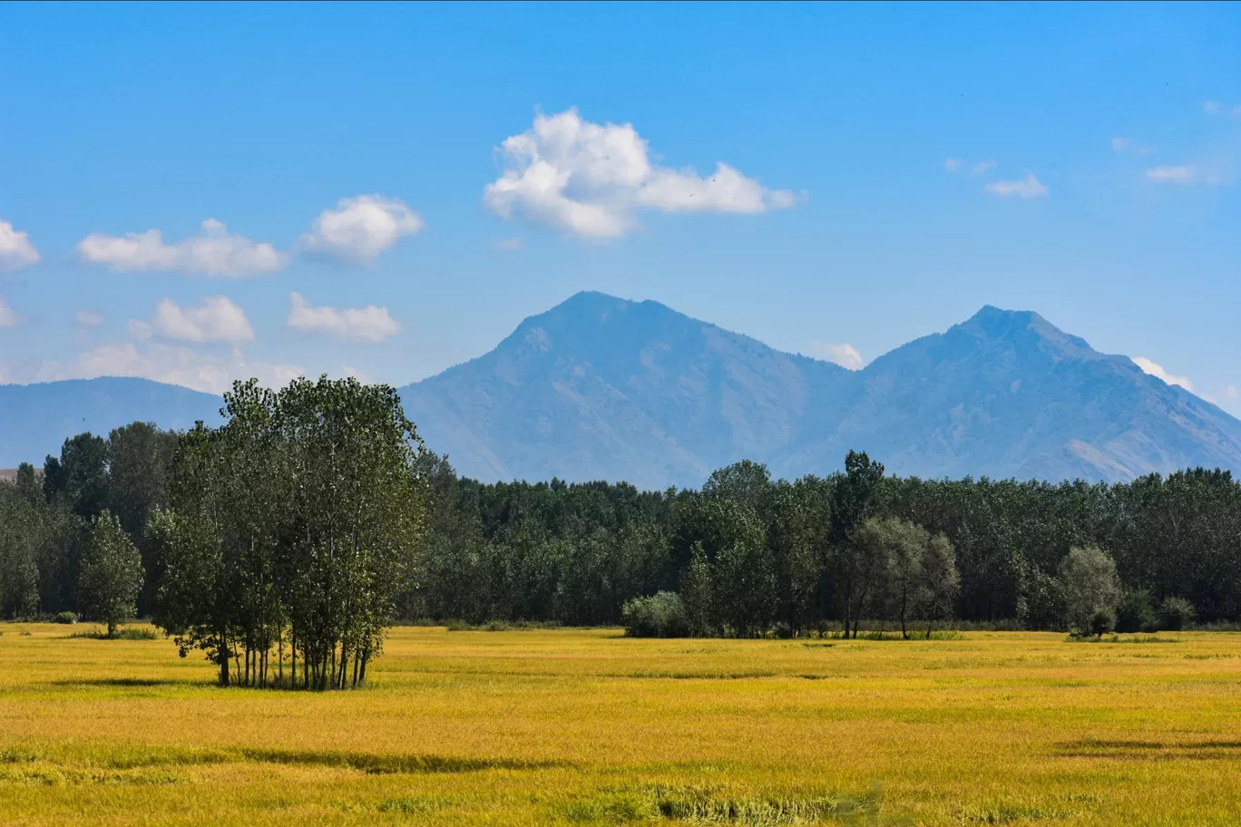Photo of Jammu and Kashmir By THEJAMES JAM