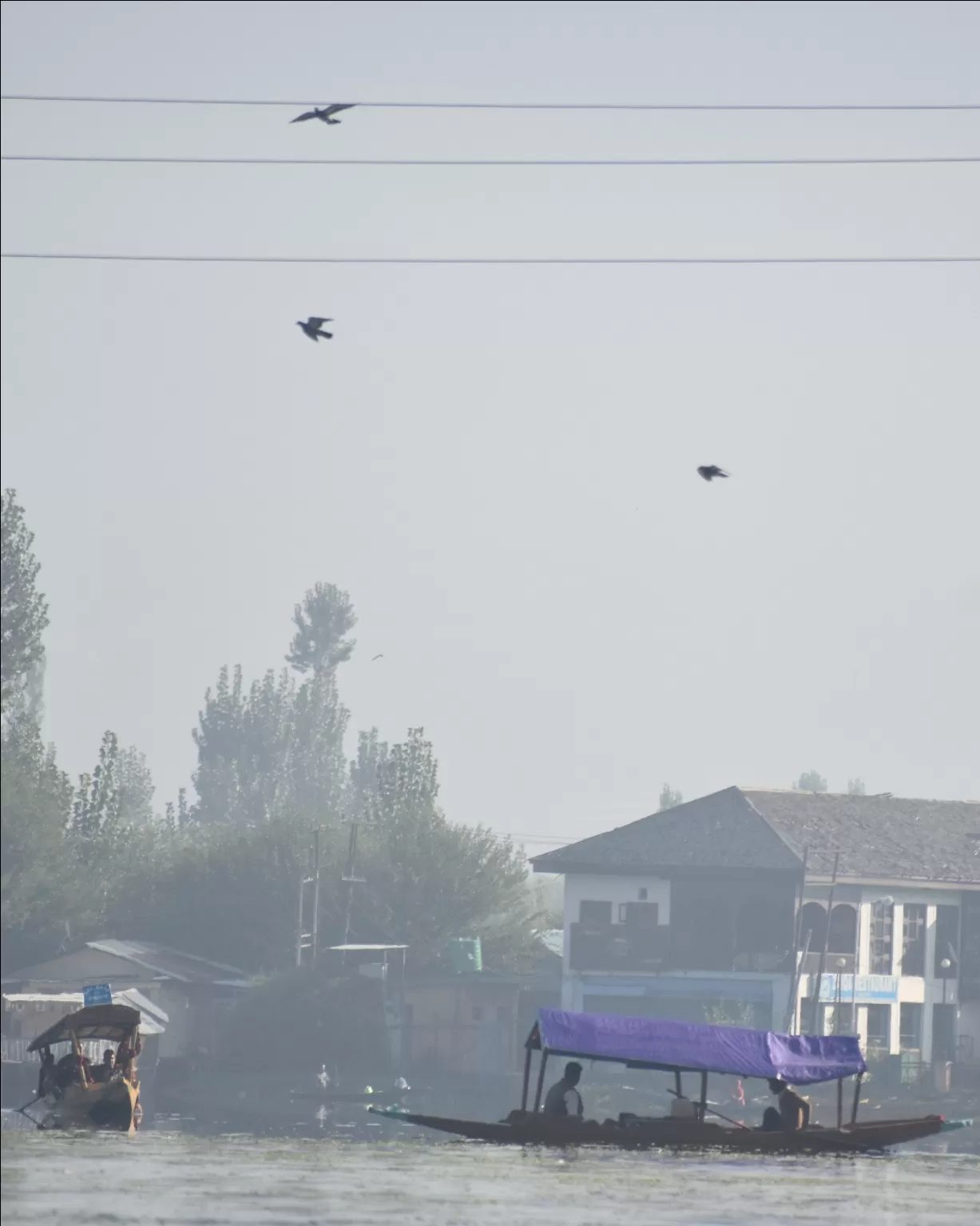 Photo of Jammu and Kashmir By THEJAMES JAM