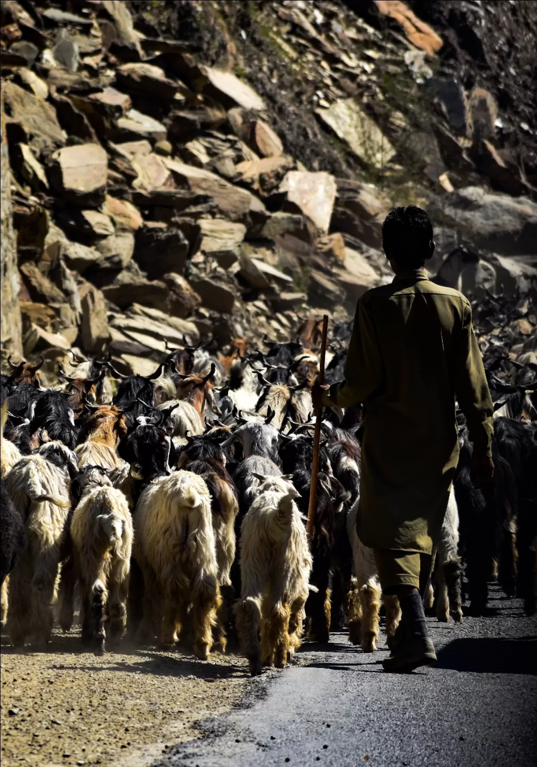 Photo of Jammu and Kashmir By THEJAMES JAM