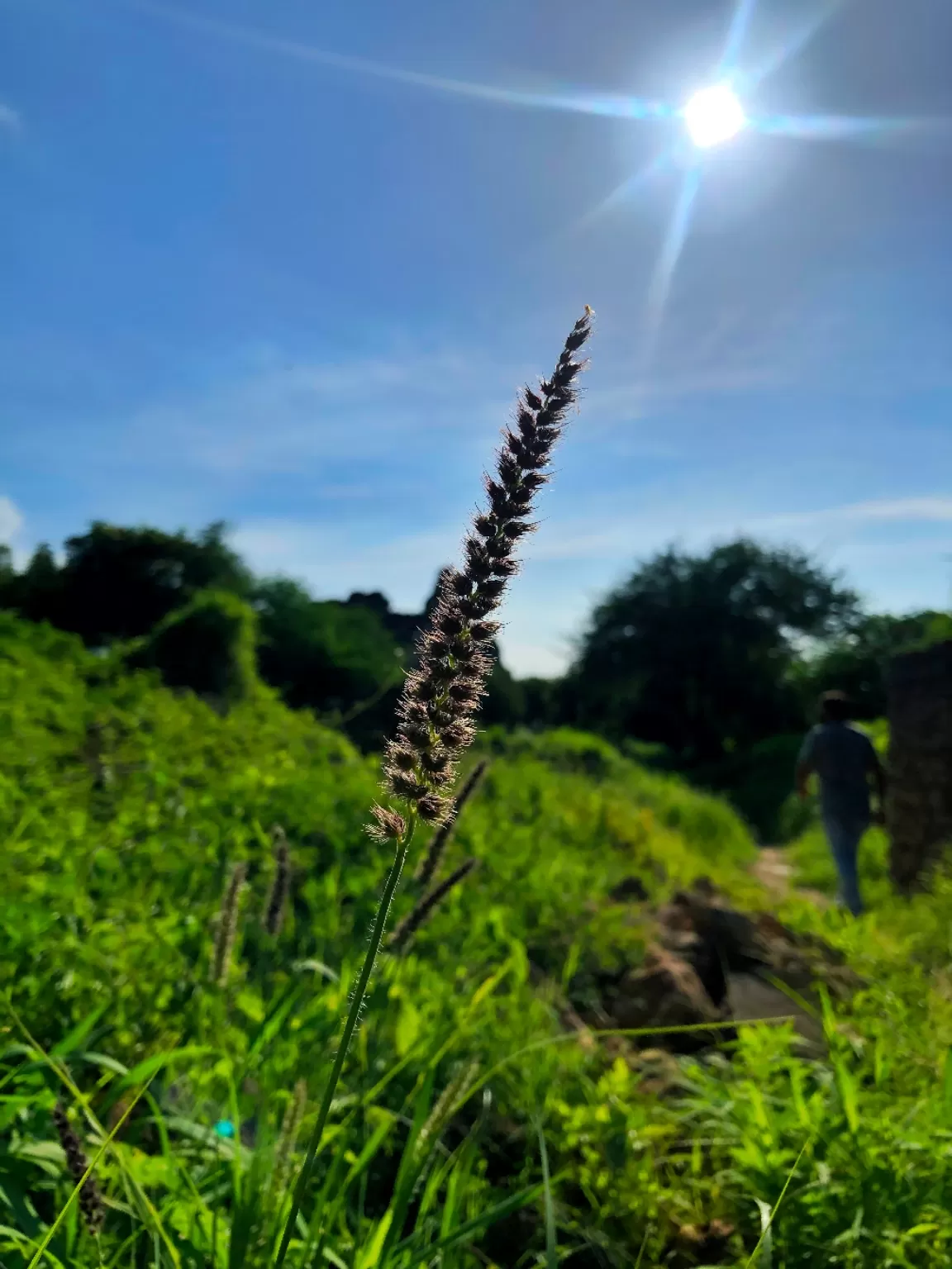 Photo of Roha Fort By Malhar Acharya