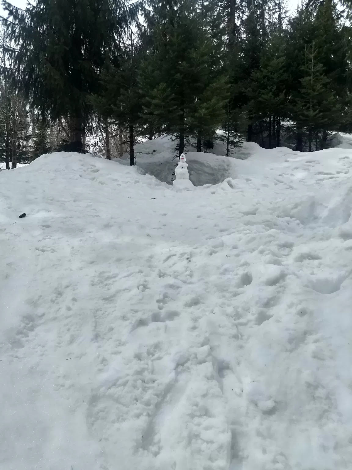 Photo of Old Manali By Aishwarya Chandak