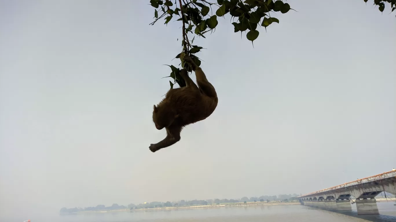 Photo of Ayodhya By Gaurav Maurya