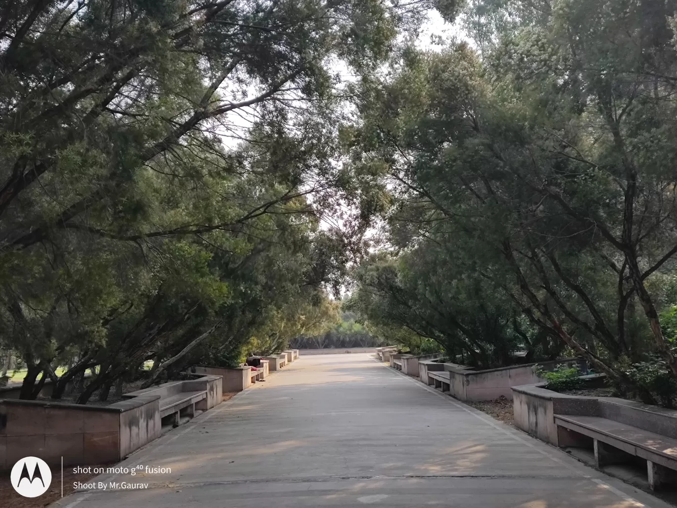 Photo of Janeshwar Mishra Park By Gaurav Maurya