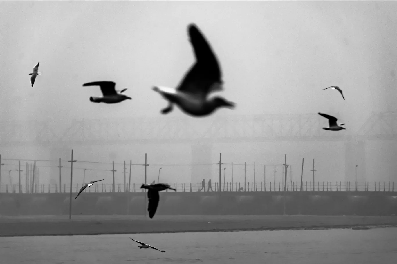Photo of Prayagraj By Rashid Khan