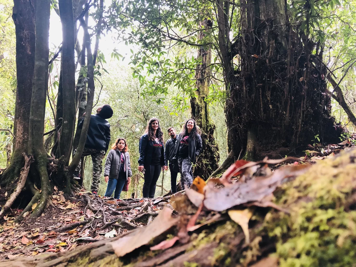 Photo of Mawphlang Sacred Grove By Sisters Corner