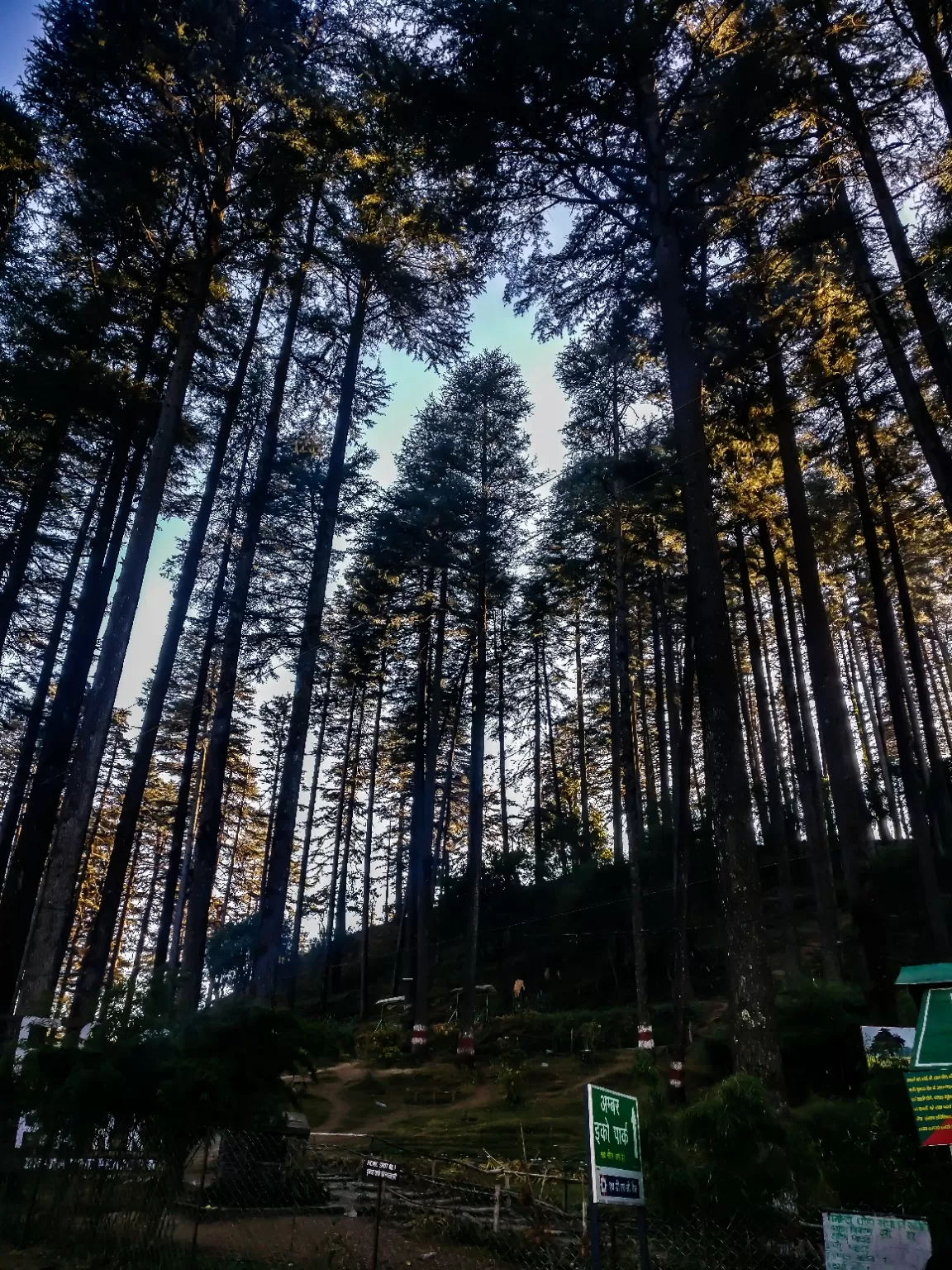Photo of Dhanaulti By Shivam Mishra (travellerjunkies)