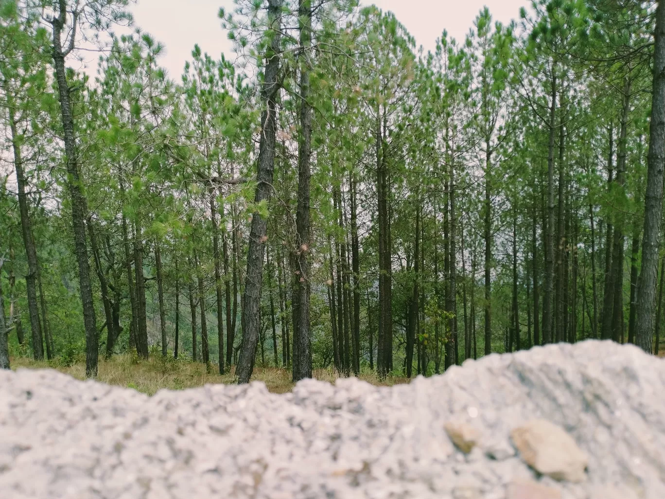 Photo of Lansdowne By abhishek sharma