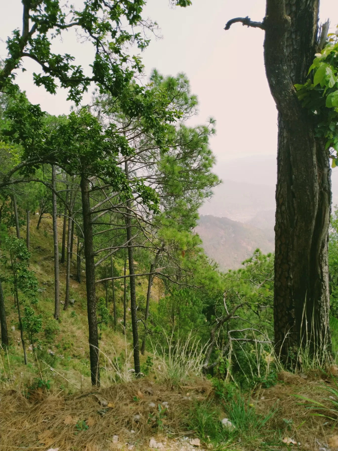 Photo of Lansdowne By abhishek sharma