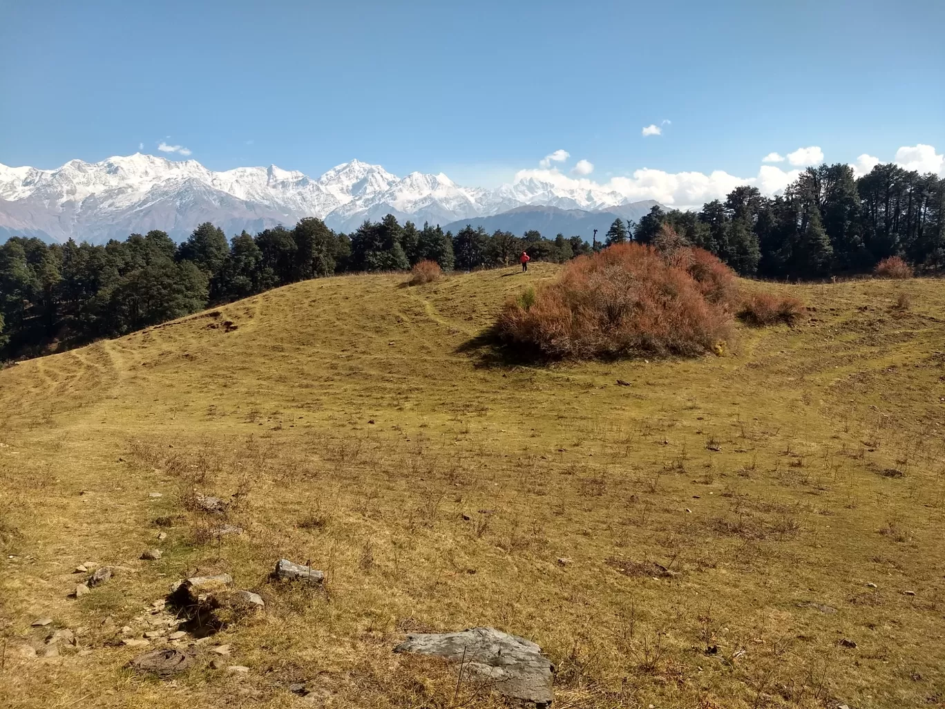 Photo of Dayara Bugyal By Ashok Nair