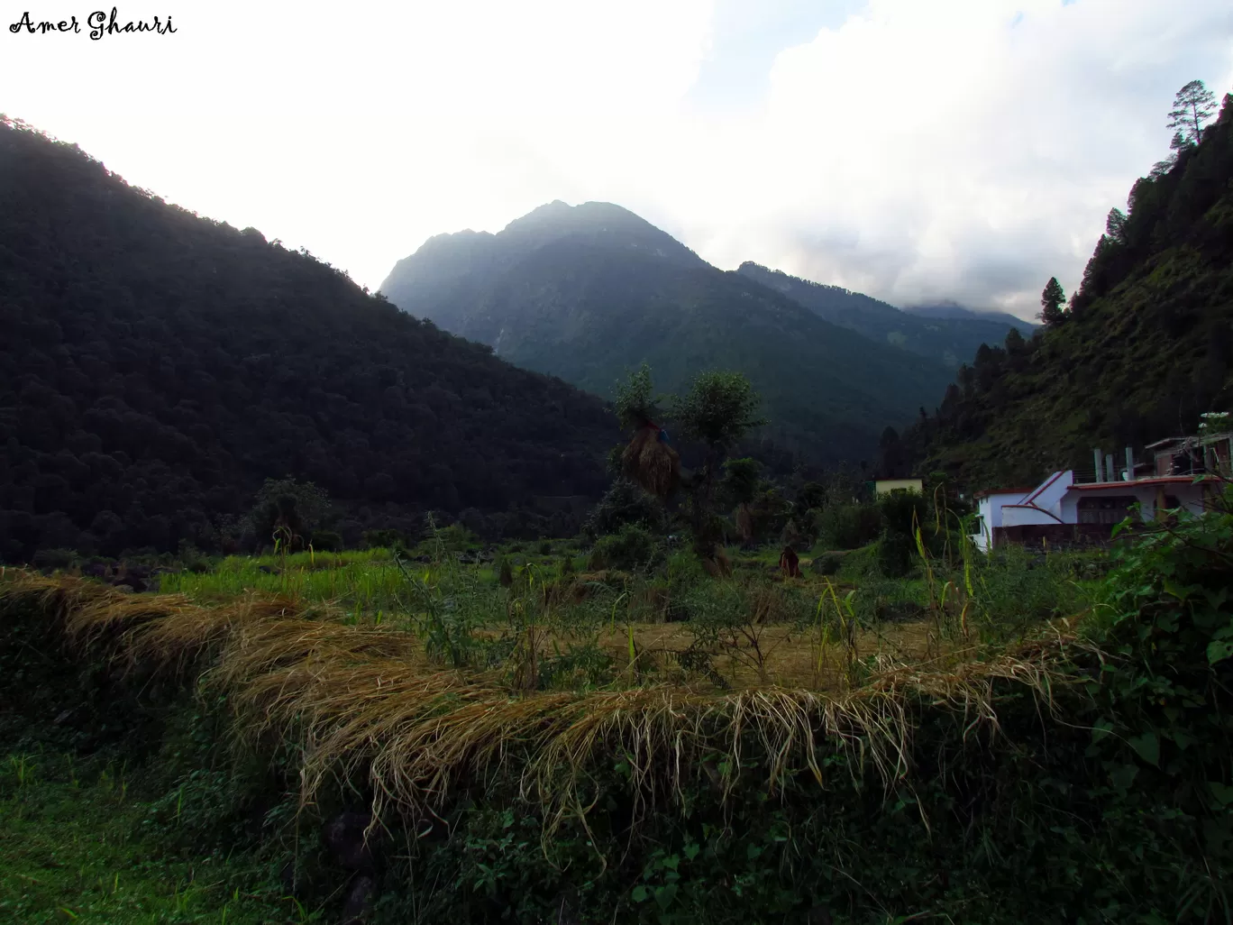 Photo of Auli Laga Joshimath By Amer Ghauri